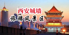 大几巴操屄视频中文中国陕西-西安城墙旅游风景区