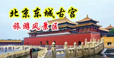 鸡巴操操逼中国北京-东城古宫旅游风景区