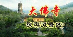 插入屄网址中国浙江-新昌大佛寺旅游风景区